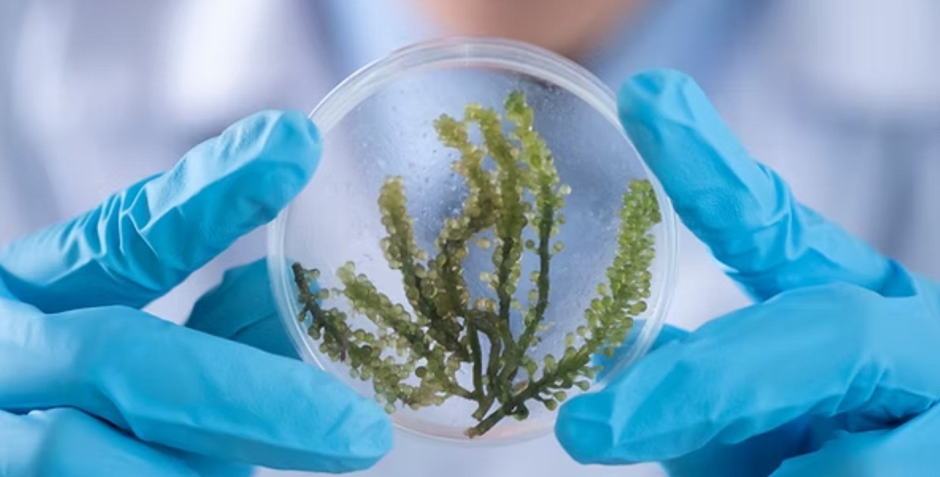 Image representing HealthU Specials